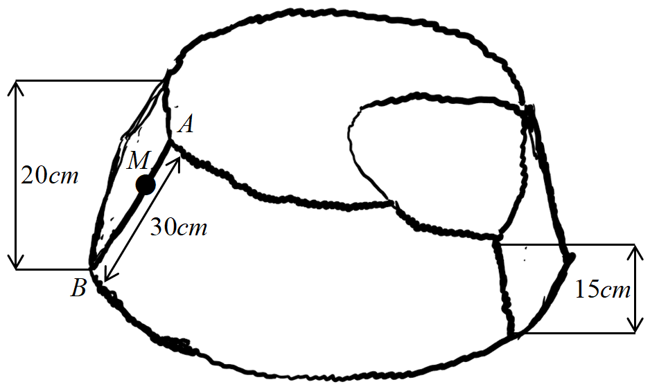 Hình minh họa câu hỏi